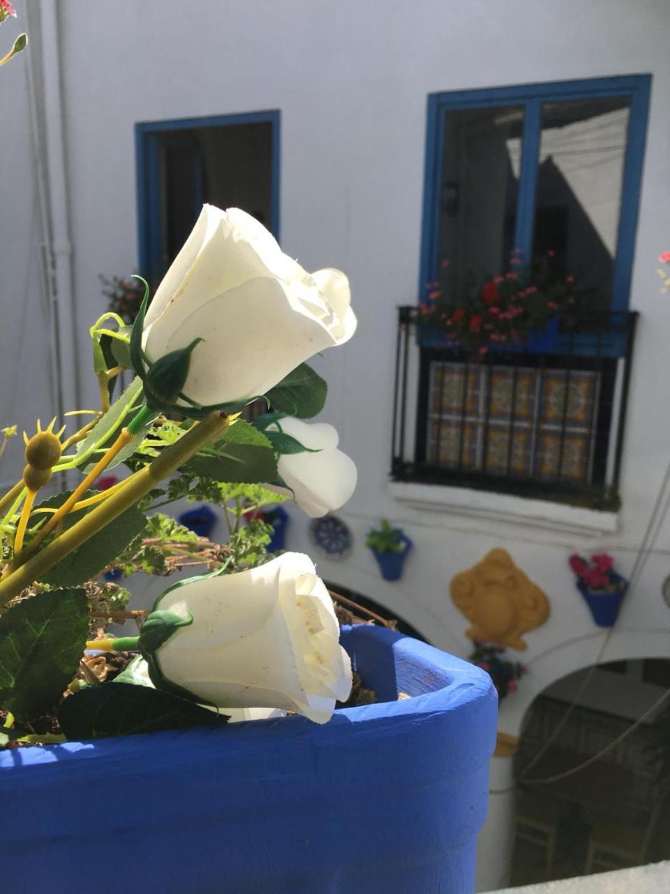 Seneca Hostel 코르도바 외부 사진