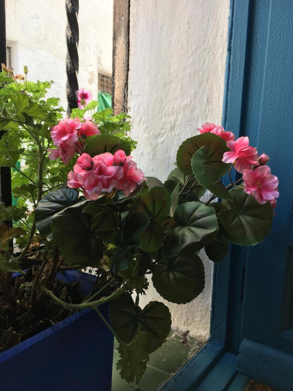 Seneca Hostel 코르도바 외부 사진