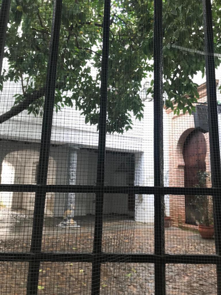 Seneca Hostel 코르도바 외부 사진