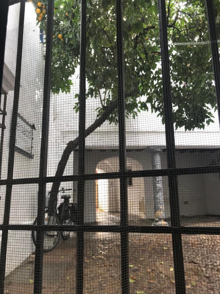 Seneca Hostel 코르도바 외부 사진